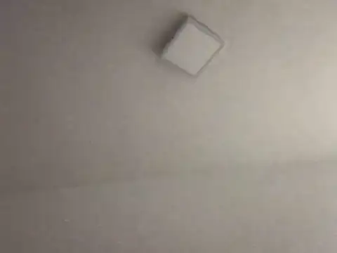 alegriadodia online show from 8, 10, 2025