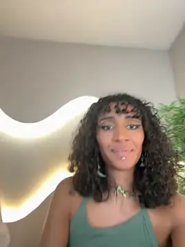 lynx sun online show from 4, 12, 2025