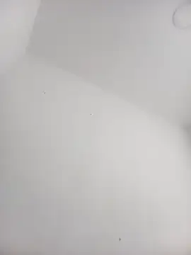 Alisson Morgann online show from 5, 10, 2025