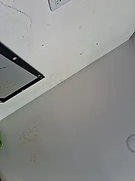 Alisson Morgann online show from 12, 4, 2026