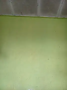 phumlanisanka online show from 15, 11, 2025