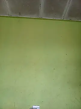 phumlanisanka online show from 1, 11, 2025