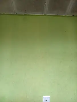 phumlanisanka online show from 6, 11, 2025