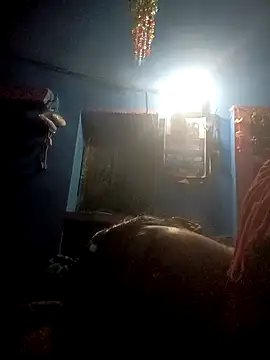 Hansini Gowda online show from 16, 9, 2025