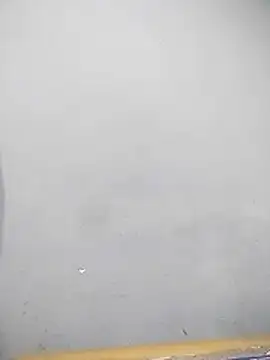 YourTarzan online show from 15, 12, 2025