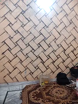 meenu bhabhi547 online show from 25, 2, 2026