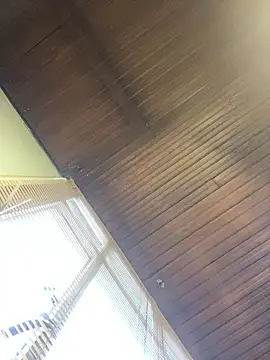 KloePink  online show from 14, 1, 2026