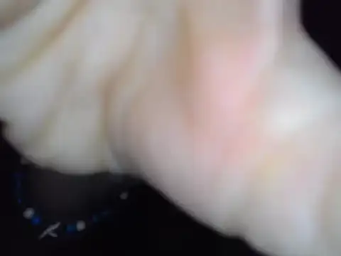 Miss Nona online show from 9, 1, 2026