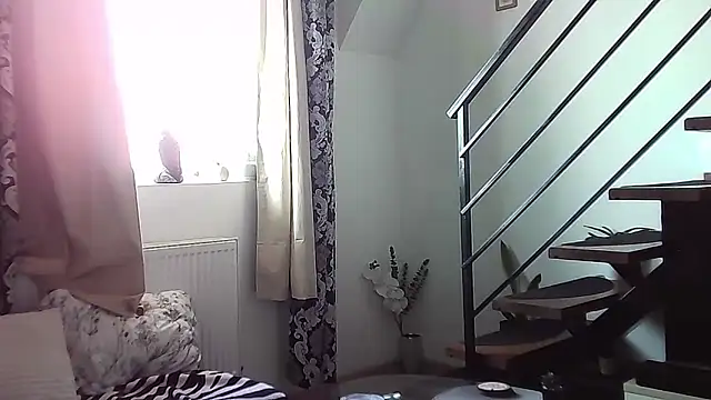 RyanStorm  online show from 12, 9, 2025