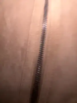 Snapshot of FroggyAnna chatting on 1, 11, 2025 FroggyAnna online show from 1, 11, 2025