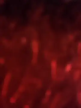 julieta evanns1 online show from 25, 9, 2025