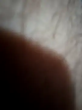 Beefitout online show from 17, 4, 2026