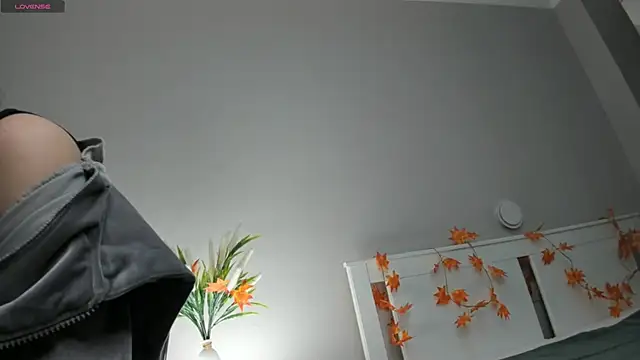 AuroraVice online show from 27, 11, 2025