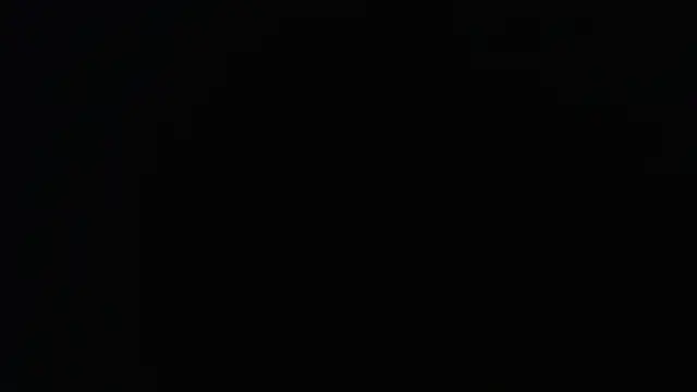 knodli online show from 16, 11, 2025