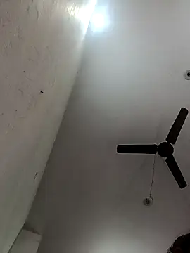 Appypie online show from 5, 11, 2025