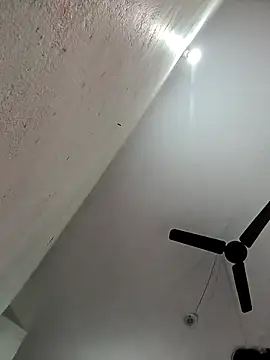 Appypie online show from 11, 11, 2025