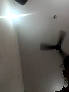 Appypie online show from 11, 10, 2025