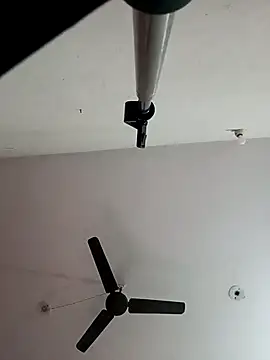 Appypie online show from 9, 11, 2025