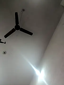 Appypie online show from 29, 10, 2025