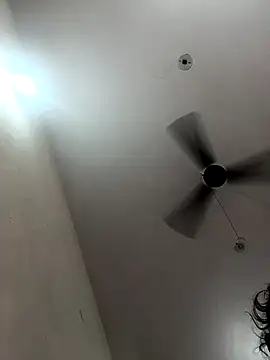 Appypie online show from 23, 10, 2025