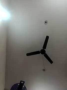 Appypie online show from 3, 11, 2025