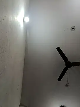 Appypie online show from 17, 11, 2025