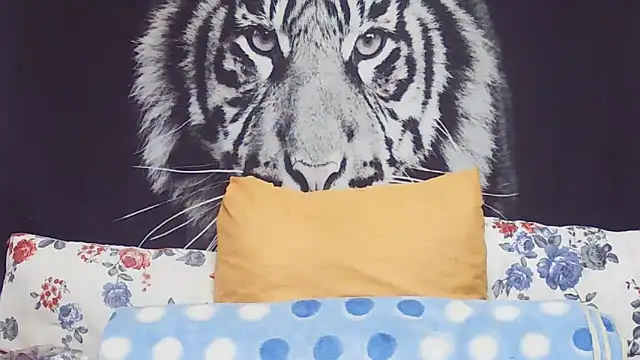 SweetPortableAmber online show from 17, 3, 2026