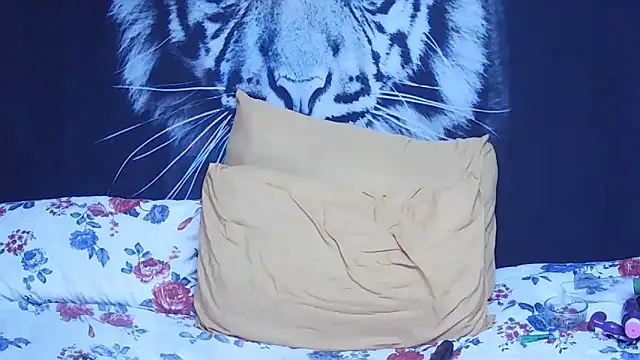 SweetPortableAmber online show from 21, 2, 2026