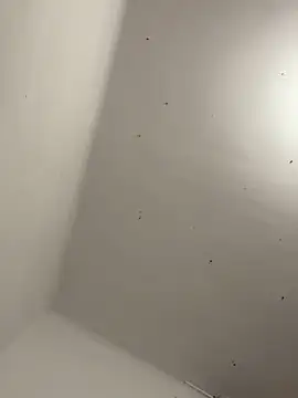 davidxxx099 online show from 22, 11, 2025