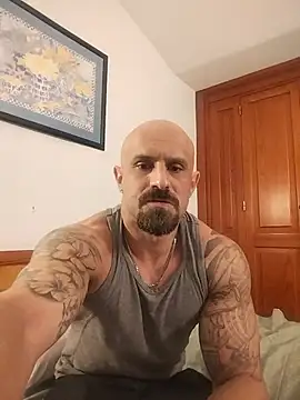 Visto36 online show from 14, 7, 2026