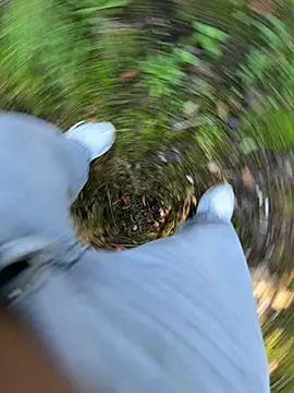 Snapshot of amo660 chatting on 20, 9, 2025 amo660 online show from 20, 9, 2025