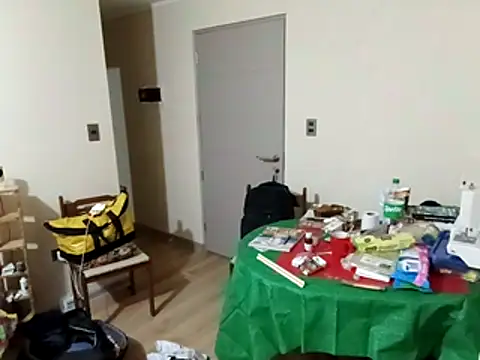 Gato2025perro online show from 15, 12, 2025