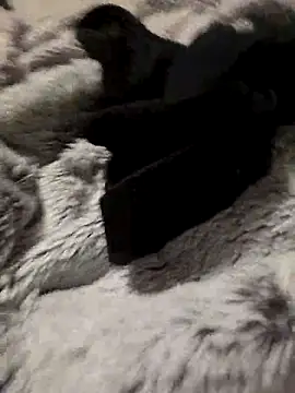 bigdicksklave online show from 31, 10, 2025