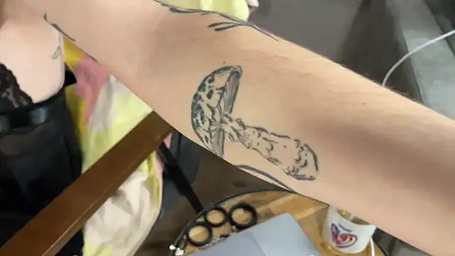 NoaTender online show from 9, 1, 2026