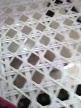 Alexa9k7 online show from 2, 12, 2025