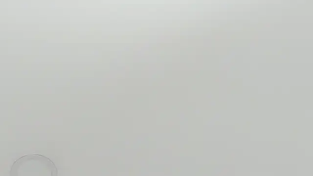 Snapshot of scarletross_ chatting on 26, 2, 2026 scarletross online show from 26, 2, 2026