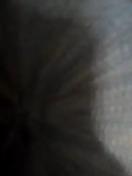 safadomoreno online show from 20, 12, 2025