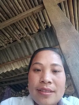 Milan6789 online show from 15, 11, 2025