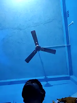 Snapshot of BlackCobraOwner chatting on 17, 11, 2025 BlackCobraOwner online show from 17, 11, 2025