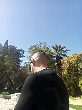 67874 online show from 8, 2, 2026