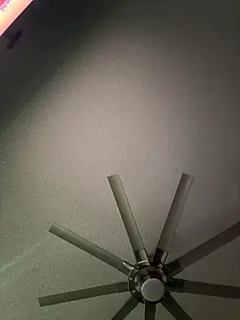 Scattyboo online show from 21, 12, 2025