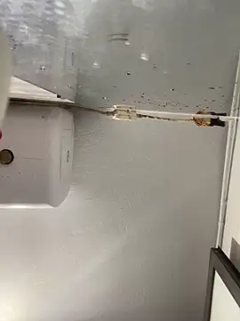 Pyy07 online show from 20, 2, 2026