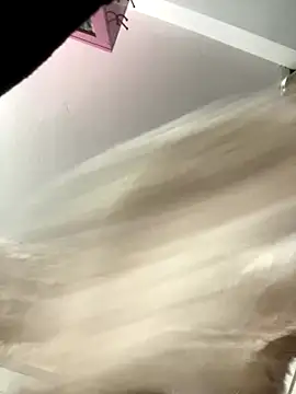 Pyy07 online show from 9, 11, 2025