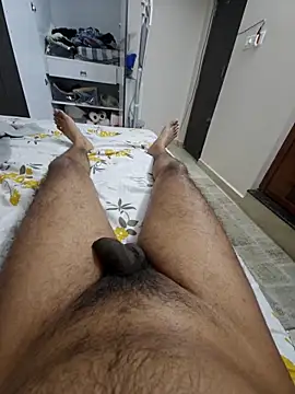 Bakasur 19 online show from 17, 2, 2026