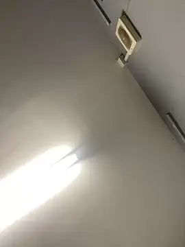 harleybarker online show from 30, 11, 2025