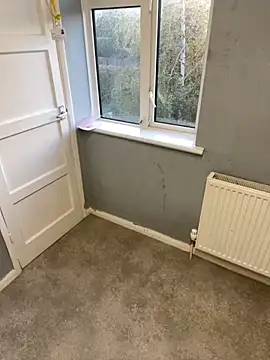 harleybarker online show from 30, 10, 2025