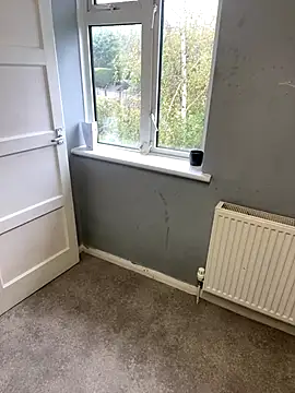 harleybarker online show from 29, 10, 2025