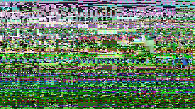 Divine Dine online show from 2, 10, 2025