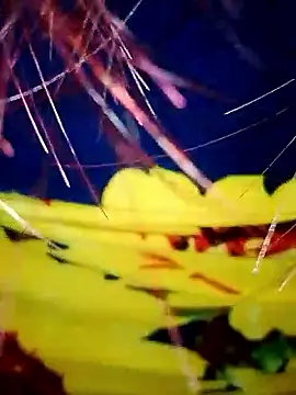 DarkLoverVI online show from 19, 12, 2025