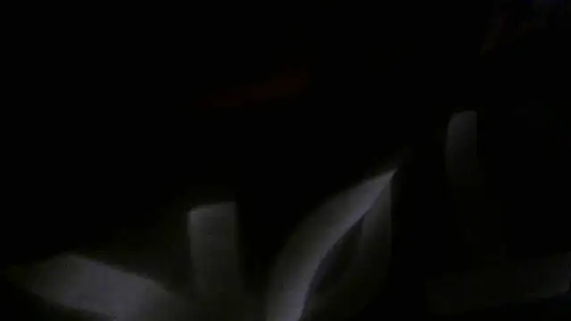 crassanova online show from 22, 4, 2026